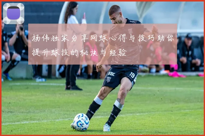 杨伟独家分享网球心得与技巧助你提升球技的秘诀与经验