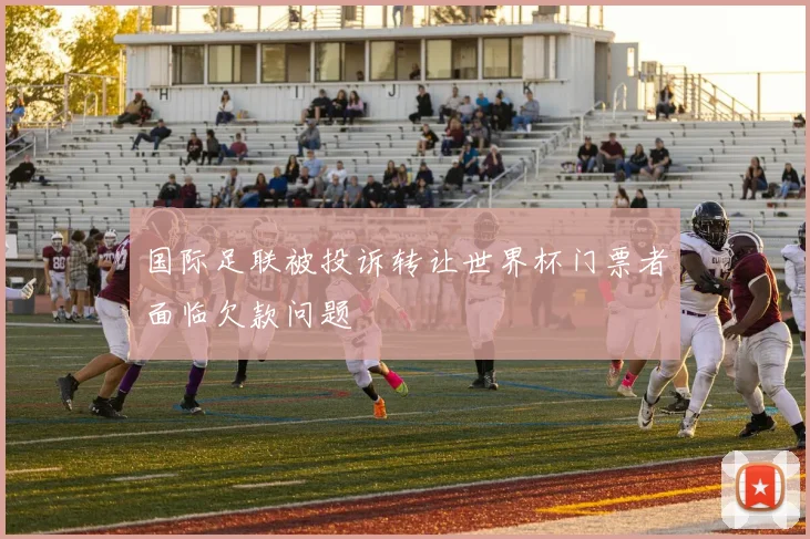 国际足联被投诉转让世界杯门票者面临欠款问题